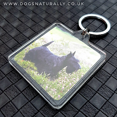 Scottish Terrier Keyring (Square)
